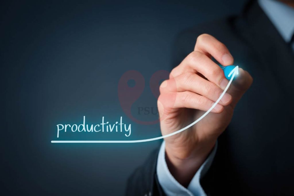 Productivity and Efficiency Benefits