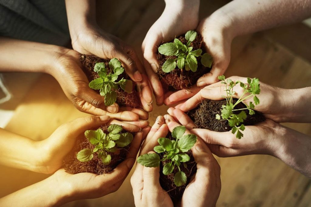 Environmental Considerations