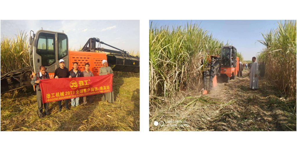 Excavator untuk Panen Tebu Lebih Efisien & Hemat Biaya!
