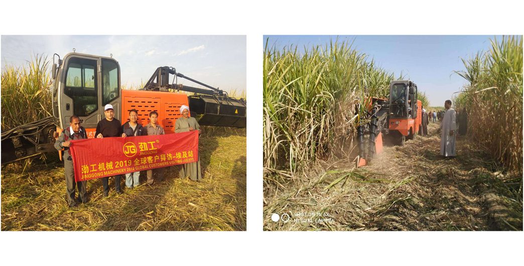 Excavator untuk Panen Tebu Lebih Efisien & Hemat Biaya!
